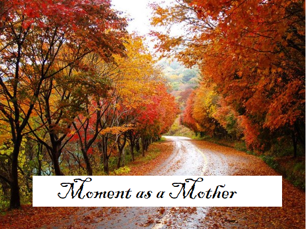 moment as a mother 10