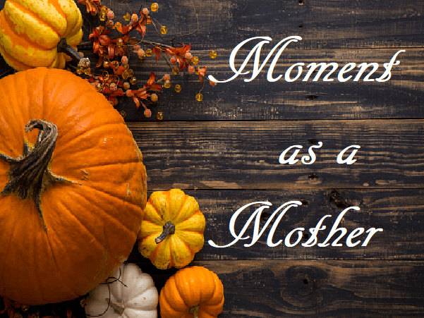 moment as a mother 11