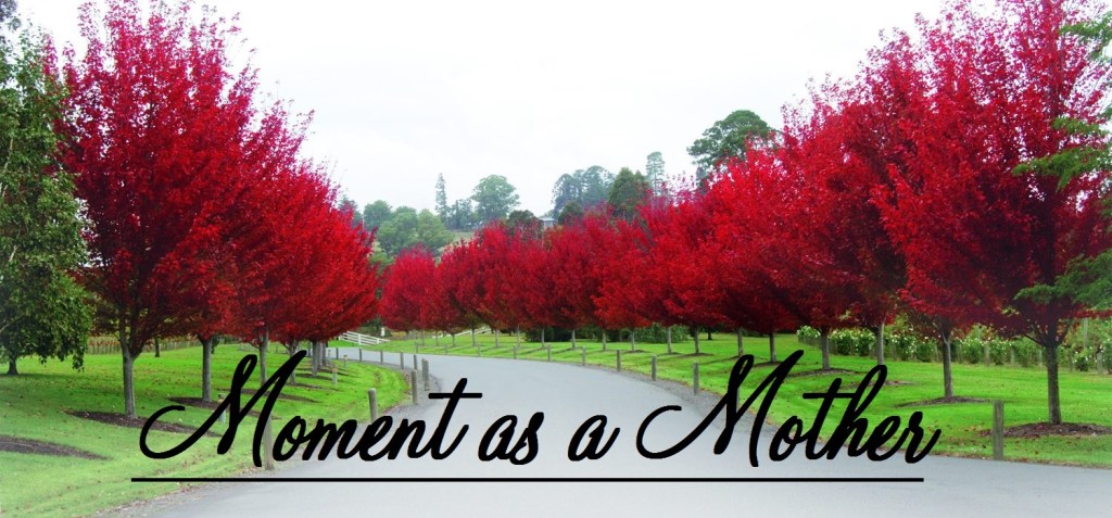 Moment as a&nbsp;Mother