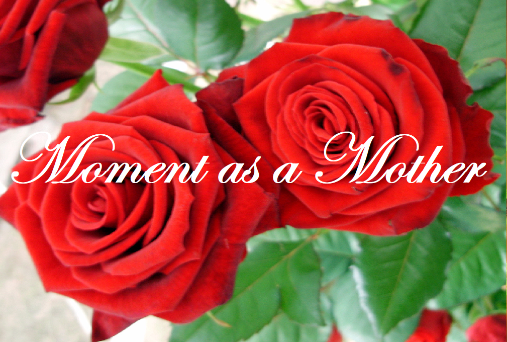 2-17-18 flowers quote