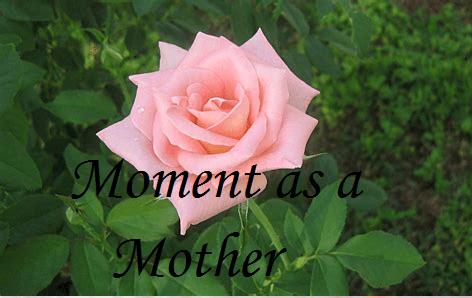 Moment as a&nbsp;Mother