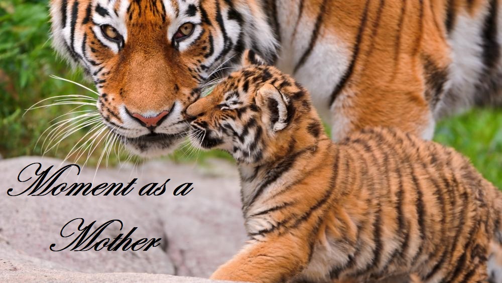 Moment as a&nbsp;Mother