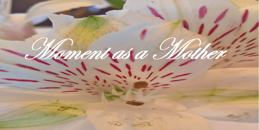 Moment  as a&nbsp;Mother