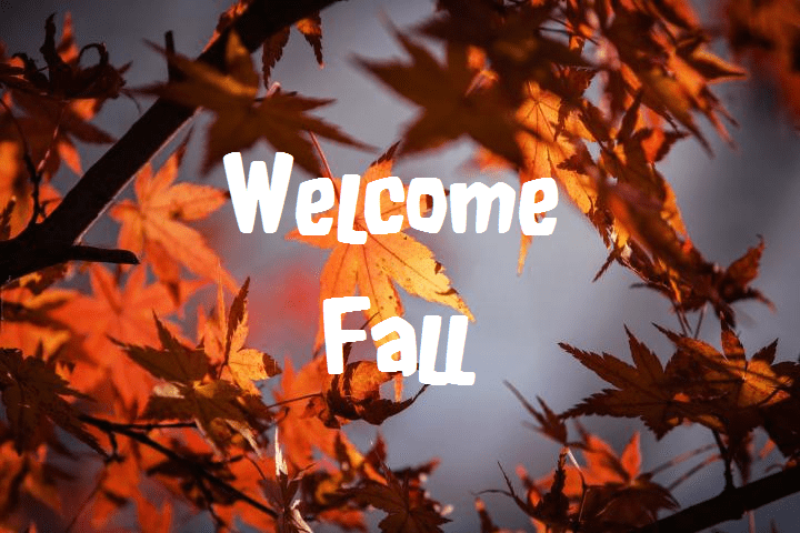 Fall is Here!!!