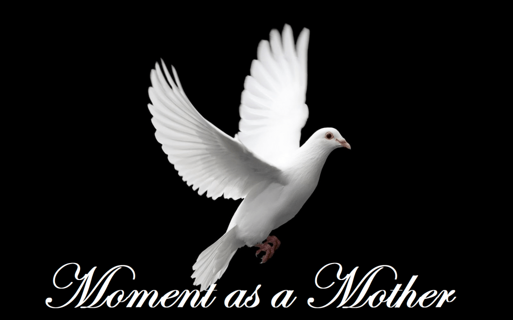 Moment as a&nbsp;Mother