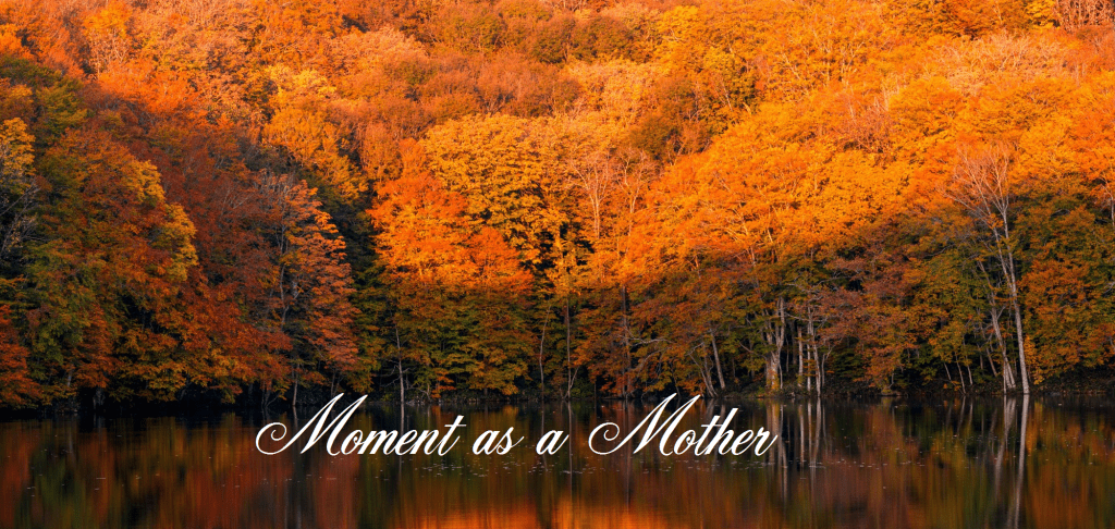 Moment As A&nbsp;Mother