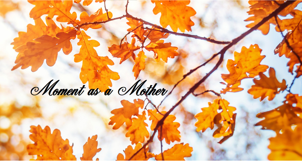 Moment as a&nbsp;Mother