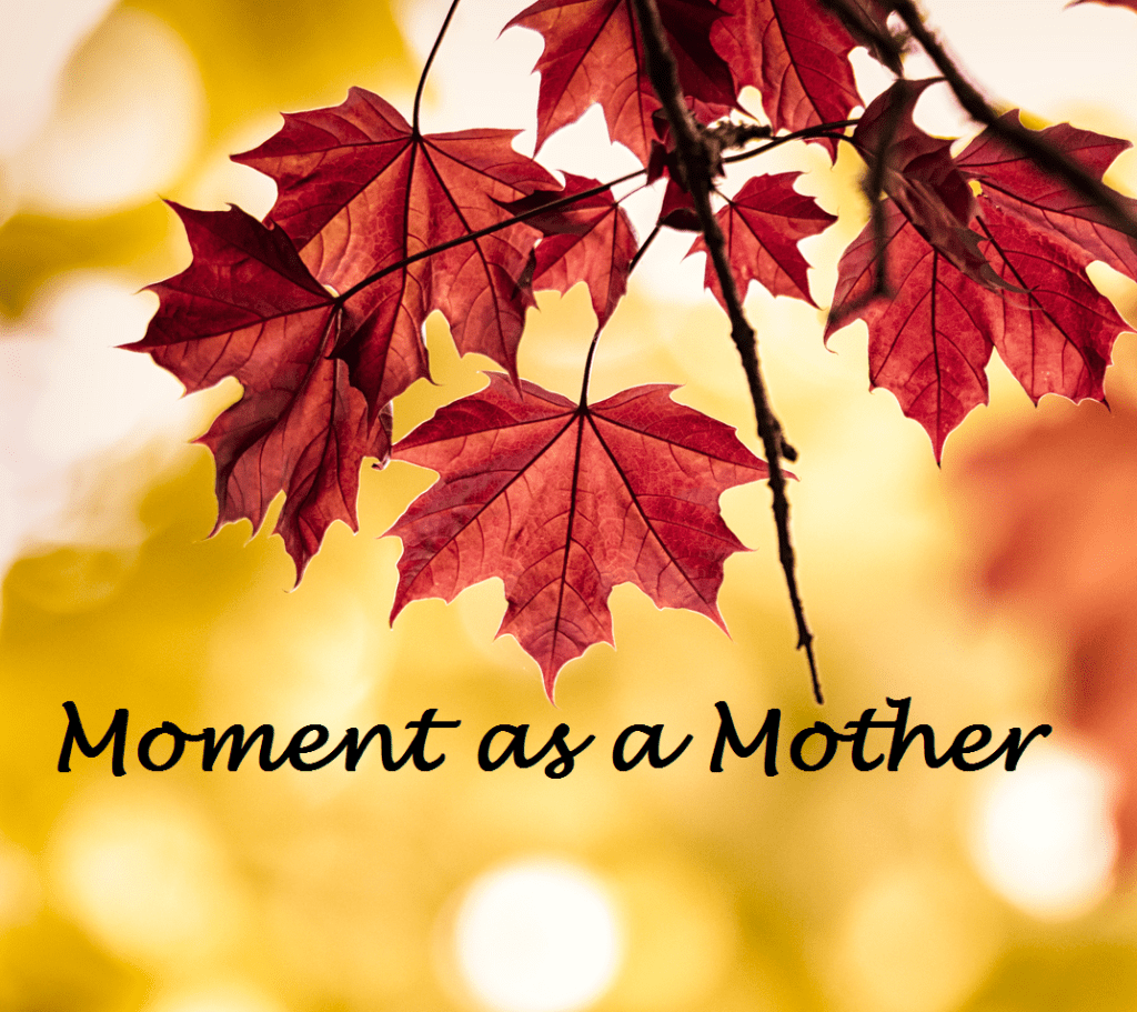 Moment as a&nbsp;Mother