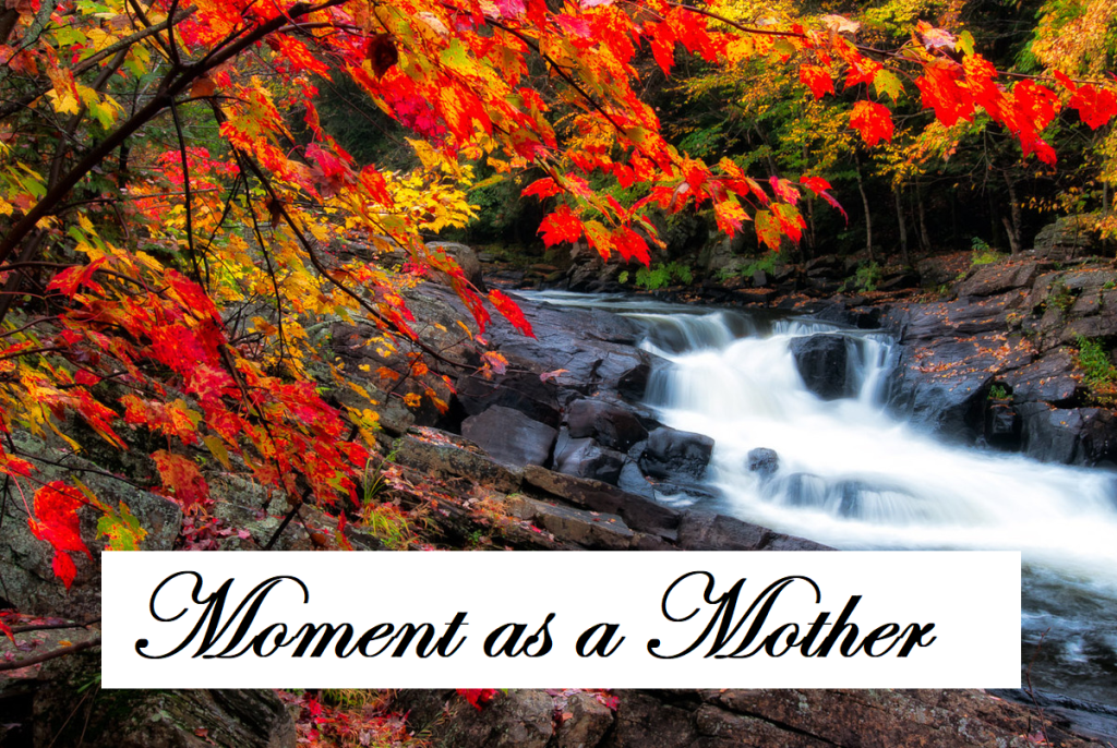 Moment as a&nbsp;Mother