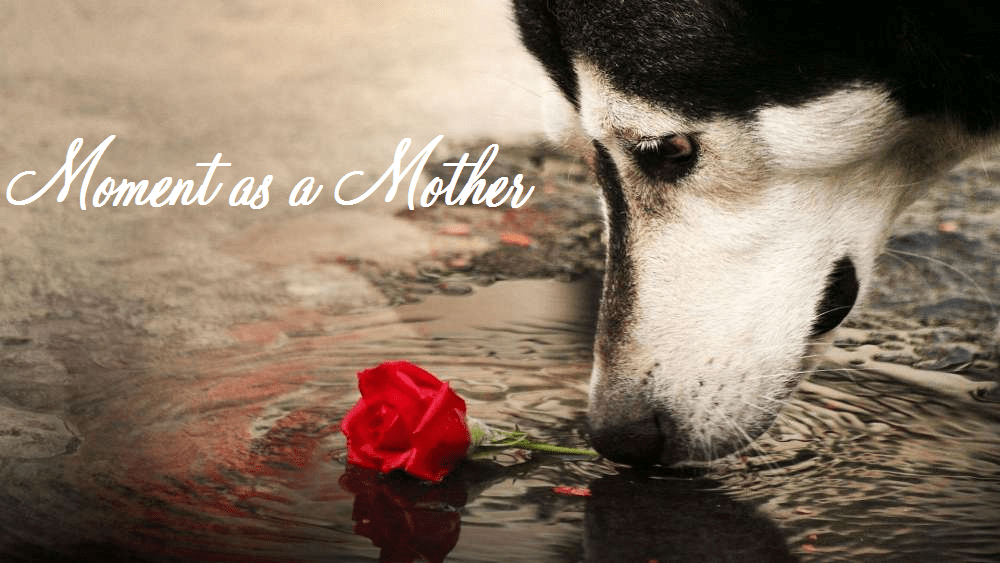 Moment as a&nbsp;Mother