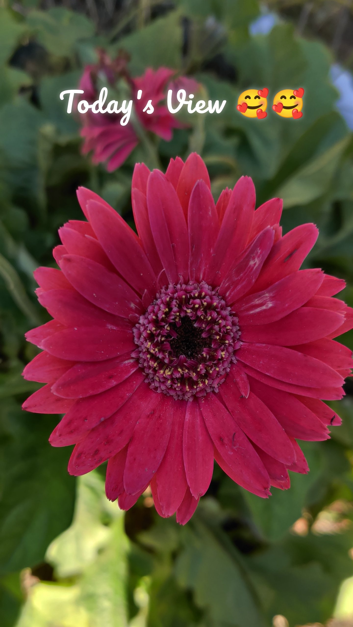 Today's View 🥰🥰