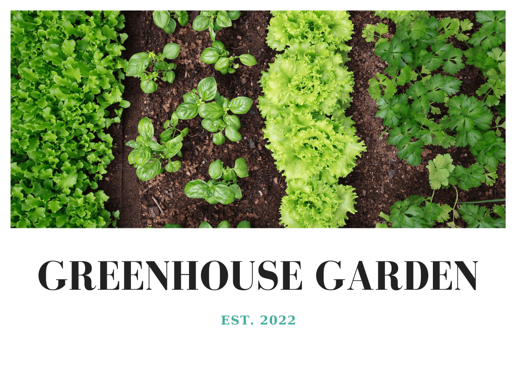 Clean Up The Garden with&nbsp;Me