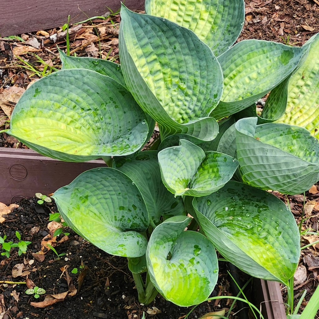 Picture of the&nbsp;Day