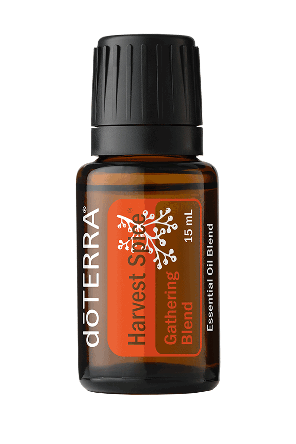 🍂 Cozy Fall Wellness: 10 Easy doTERRA Ideas for Busy&nbsp;Moms