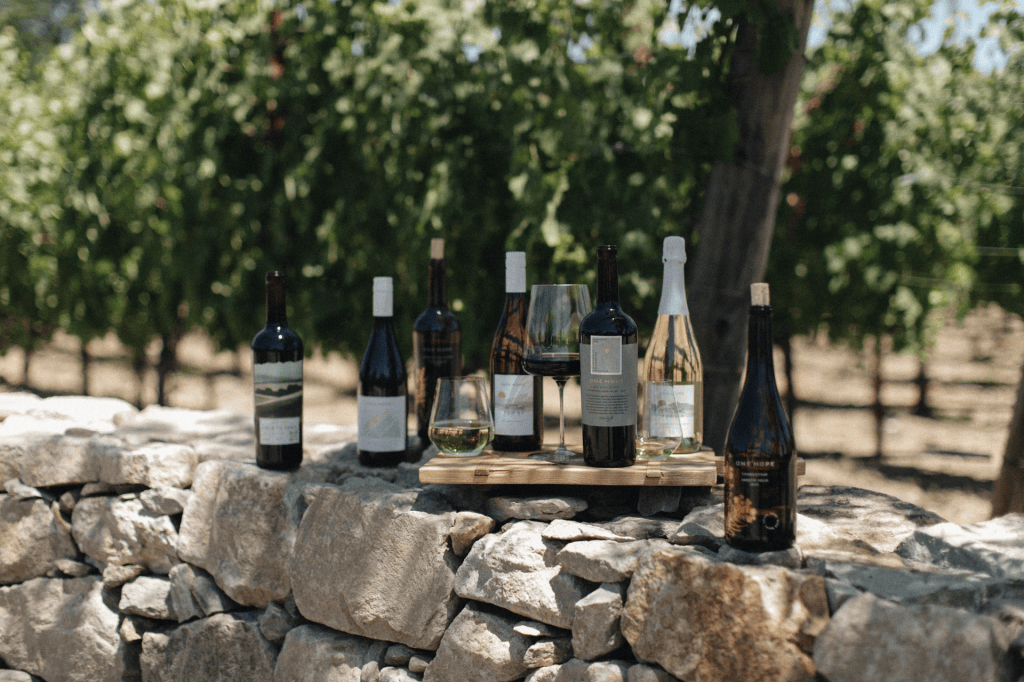 🍂 Fall Sips & Cozy Nights: My OneHope Wine Picks for the Season